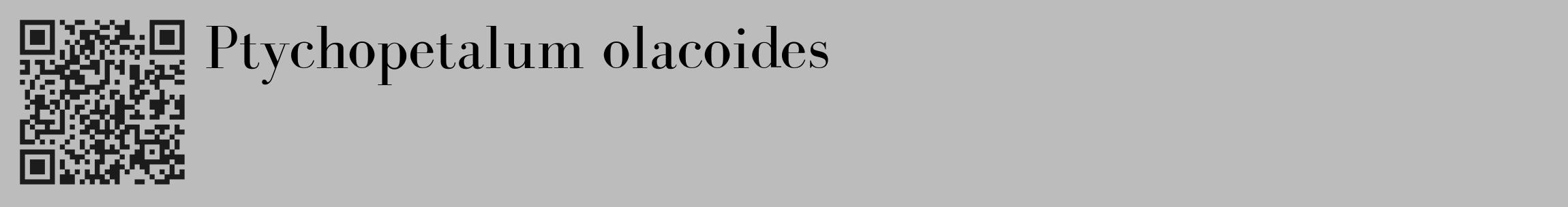 Étiquette de : Ptychopetalum olacoides - format c - style noire1_basique_basiquebod avec qrcode et comestibilité