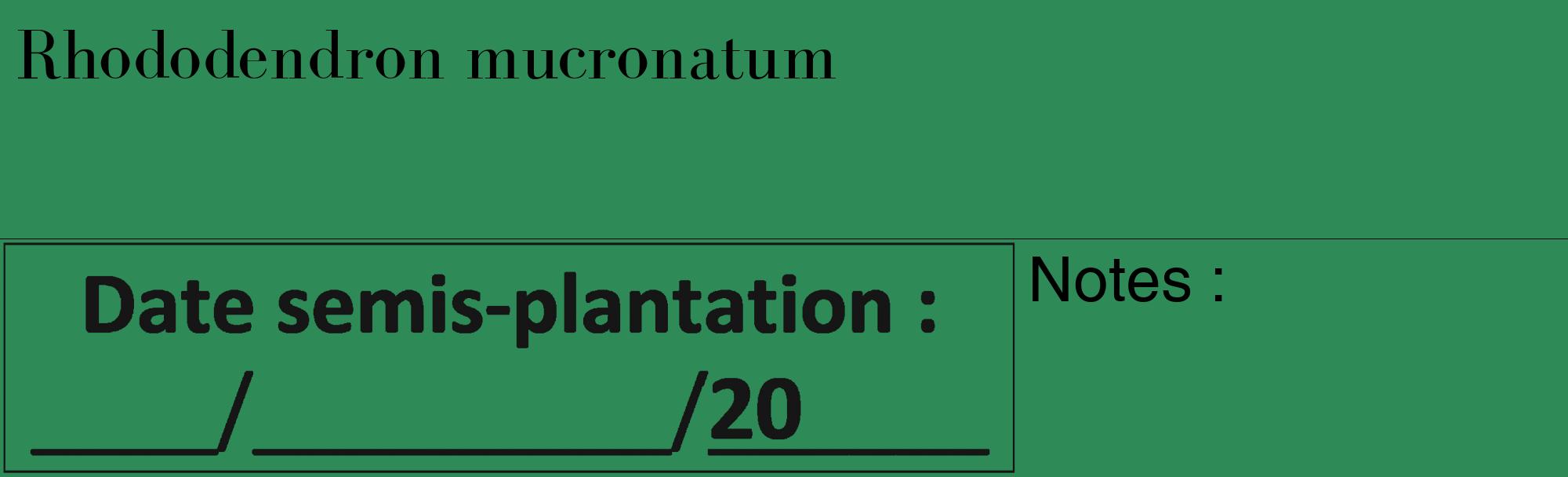 Étiquette de : Rhododendron mucronatum - format c - style noire11_basique_basiquebod avec comestibilité