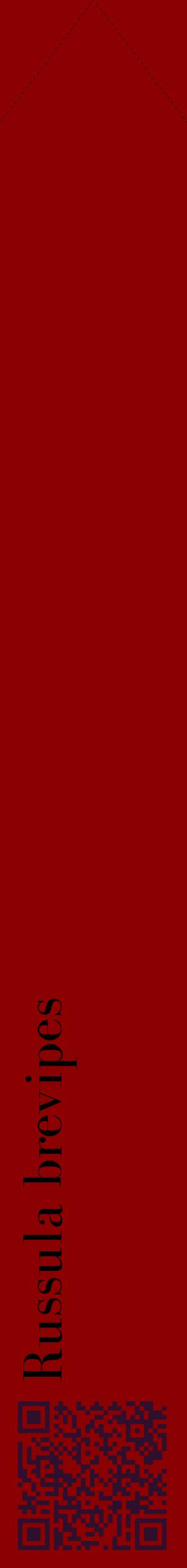 Étiquette de : Russula brevipes - format c - style noire34_simplebod avec qrcode et comestibilité