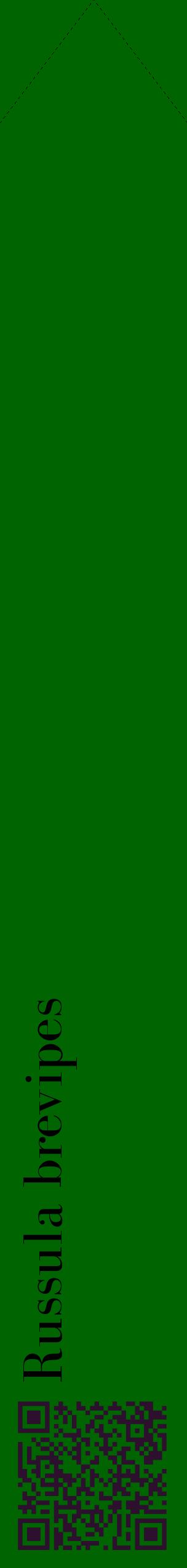 Étiquette de : Russula brevipes - format c - style noire8_simplebod avec qrcode et comestibilité
