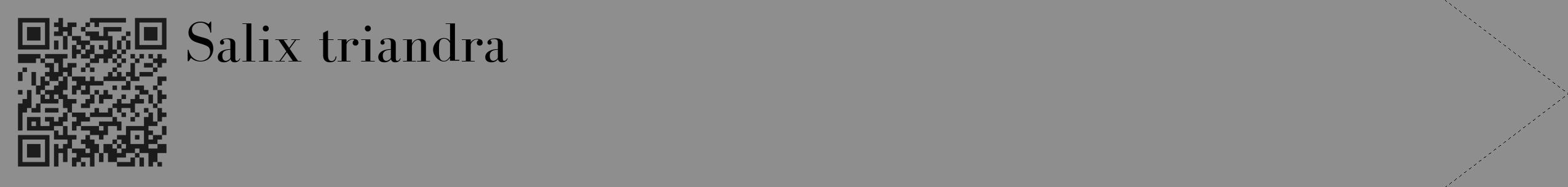 Étiquette de : Salix triandra - format c - style noire25_simple_simplebod avec qrcode et comestibilité