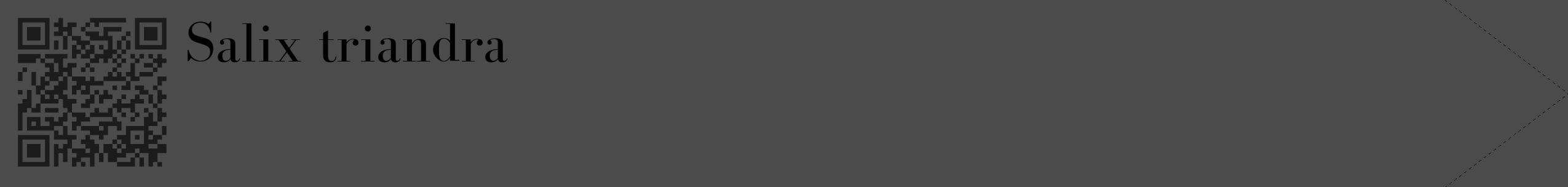 Étiquette de : Salix triandra - format c - style noire9_simple_simplebod avec qrcode et comestibilité