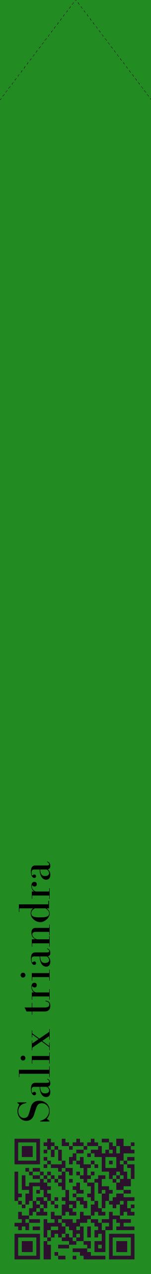 Étiquette de : Salix triandra - format c - style noire10_simplebod avec qrcode et comestibilité