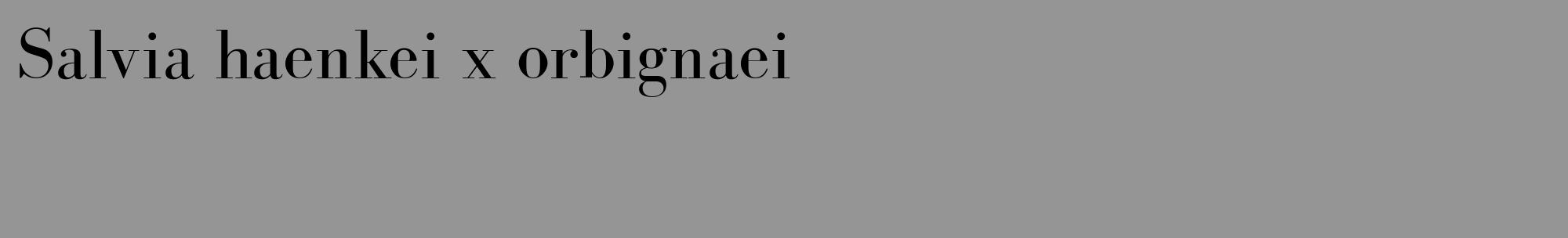 Étiquette de : Salvia haenkei x orbignaei - format c - style noire16_basique_basiquebod avec comestibilité