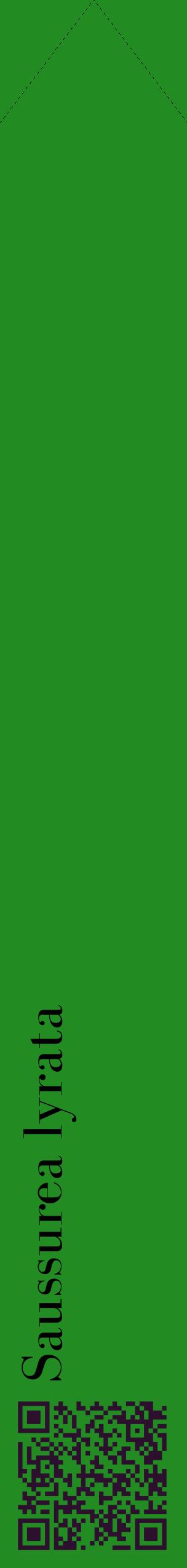 Étiquette de : Saussurea lyrata - format c - style noire10_simplebod avec qrcode et comestibilité