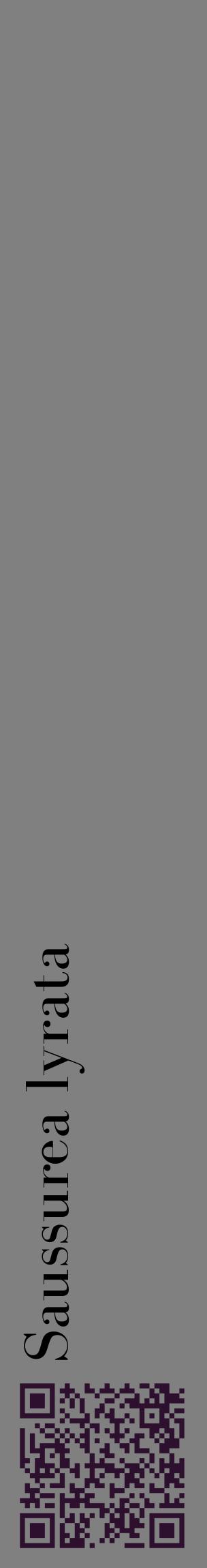 Étiquette de : Saussurea lyrata - format c - style noire57_basiquebod avec qrcode et comestibilité