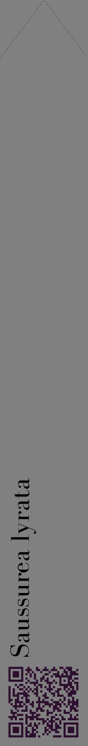 Étiquette de : Saussurea lyrata - format c - style noire57_simplebod avec qrcode et comestibilité