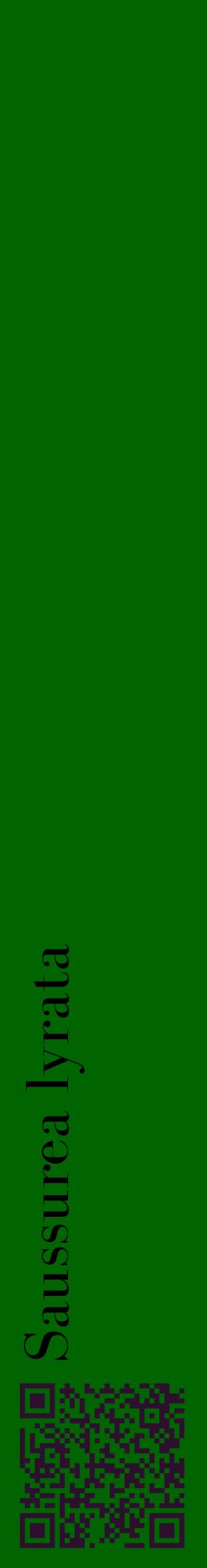 Étiquette de : Saussurea lyrata - format c - style noire8_basiquebod avec qrcode et comestibilité