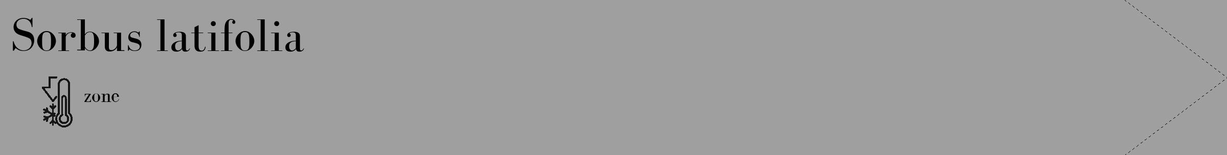 Étiquette de : Sorbus latifolia - format c - style noire24_simple_simplebod avec comestibilité