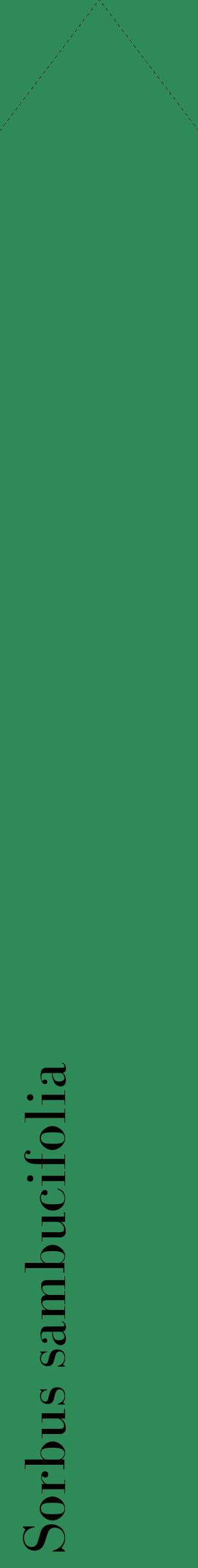 Étiquette de : Sorbus sambucifolia - format c - style noire11_simplebod avec comestibilité