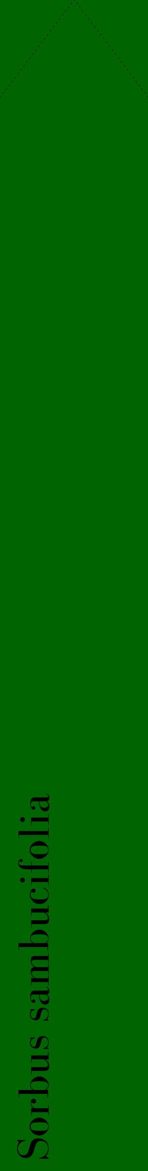 Étiquette de : Sorbus sambucifolia - format c - style noire8_simplebod avec comestibilité