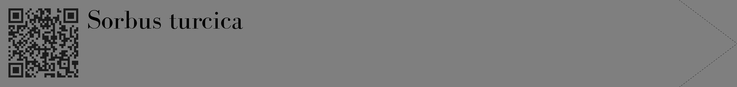 Étiquette de : Sorbus turcica - format c - style noire31_simple_simplebod avec qrcode et comestibilité