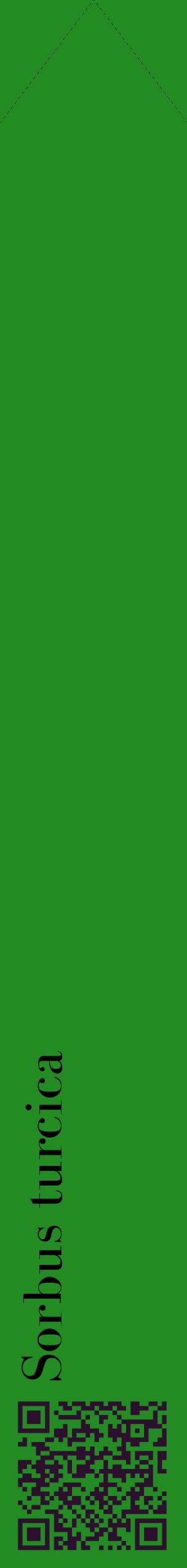 Étiquette de : Sorbus turcica - format c - style noire10_simplebod avec qrcode et comestibilité