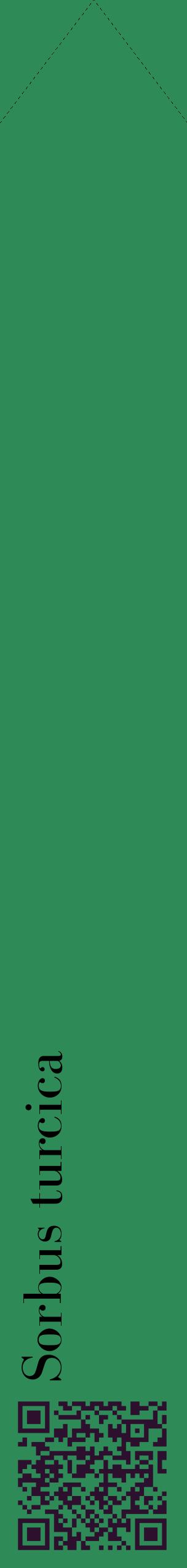 Étiquette de : Sorbus turcica - format c - style noire11_simplebod avec qrcode et comestibilité