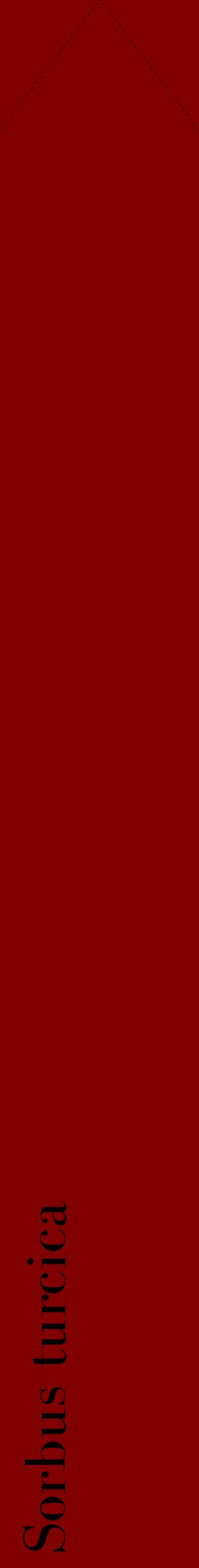 Étiquette de : Sorbus turcica - format c - style noire29_simplebod avec comestibilité