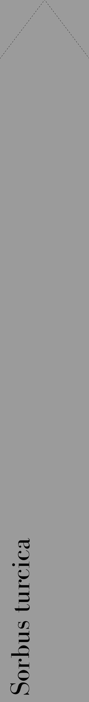 Étiquette de : Sorbus turcica - format c - style noire52_simple_simplebod avec comestibilité - position verticale