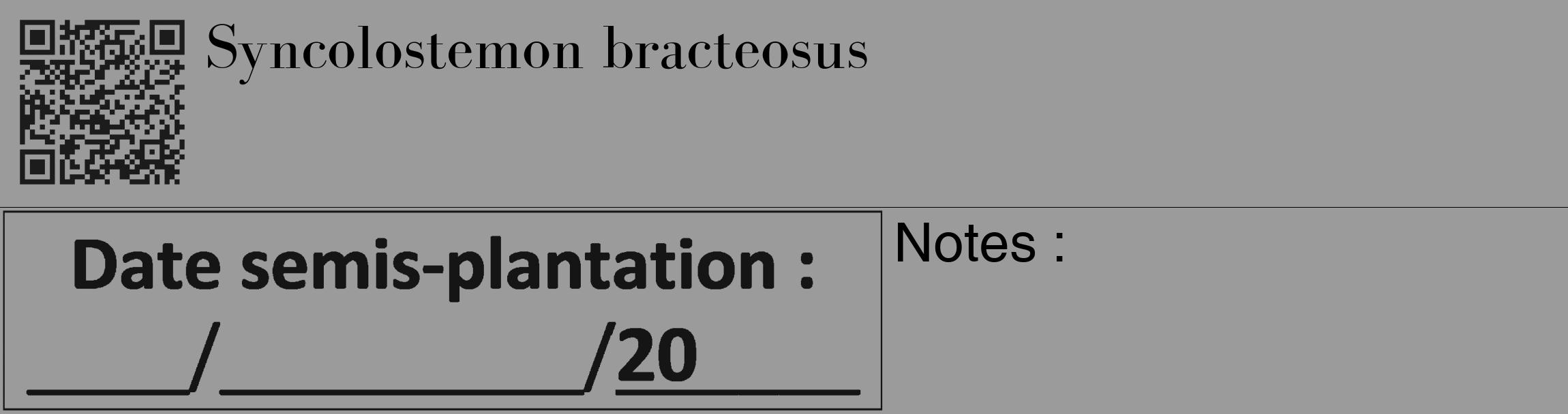 Étiquette de : Syncolostemon bracteosus - format c - style noire52_basique_basiquebod avec qrcode et comestibilité