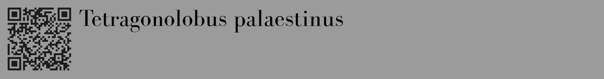 Étiquette de : Tetragonolobus palaestinus - format c - style noire52_basique_basiquebod avec qrcode et comestibilité