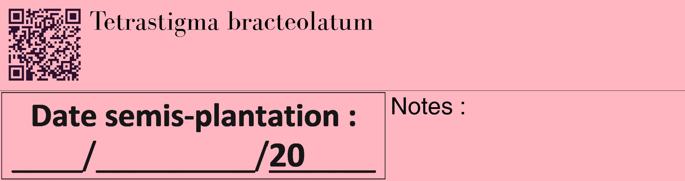 Étiquette de : Tetrastigma bracteolatum - format c - style noire41_basique_basiquebod avec qrcode et comestibilité