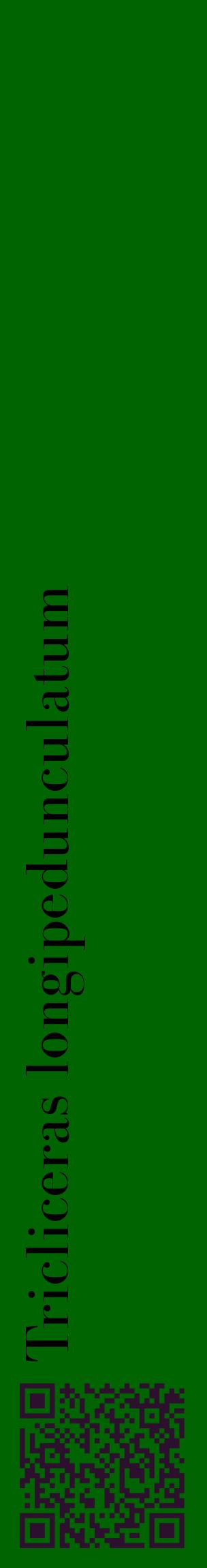 Étiquette de : Tricliceras longipedunculatum - format c - style noire8_basiquebod avec qrcode et comestibilité