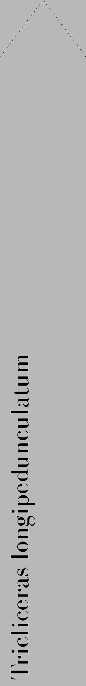 Étiquette de : Tricliceras longipedunculatum - format c - style noire39_simple_simplebod avec comestibilité - position verticale