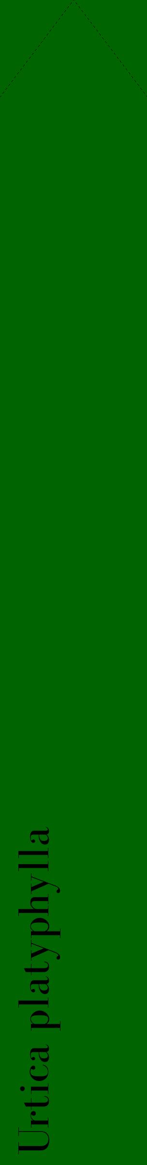 Étiquette de : Urtica platyphylla - format c - style noire8_simplebod avec comestibilité