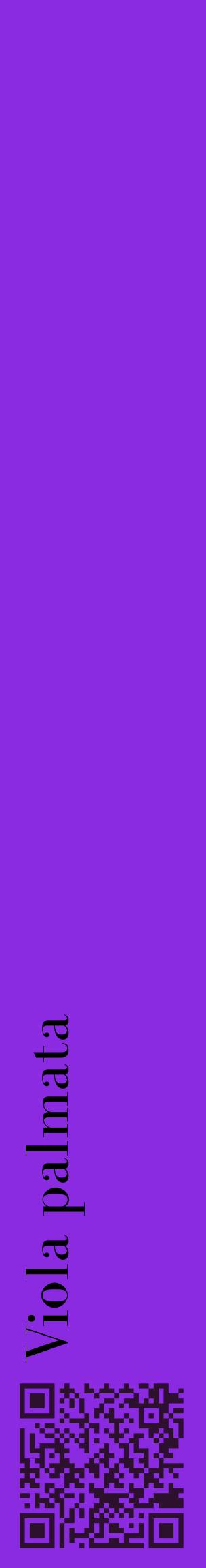 Étiquette de : Viola palmata - format c - style noire49_basiquebod avec qrcode et comestibilité