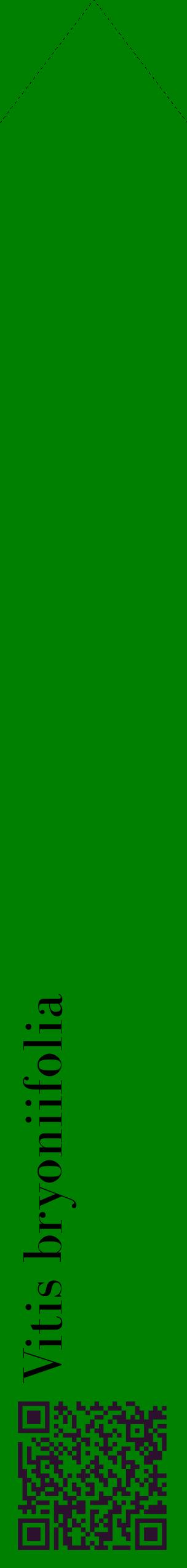 Étiquette de : Vitis bryoniifolia - format c - style noire9_simplebod avec qrcode et comestibilité