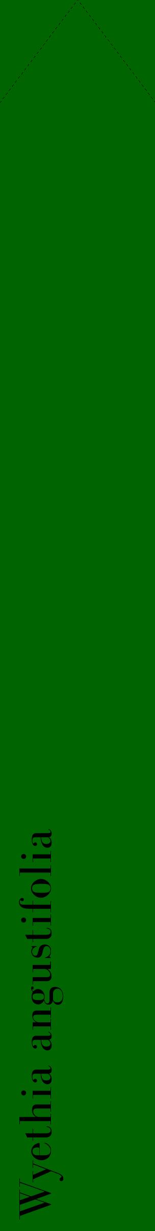 Étiquette de : Wyethia angustifolia - format c - style noire8_simplebod avec comestibilité