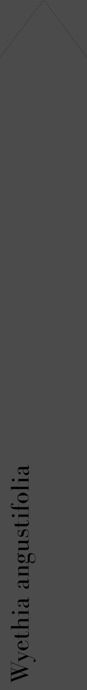 Étiquette de : Wyethia angustifolia - format c - style noire9_simple_simplebod avec comestibilité - position verticale