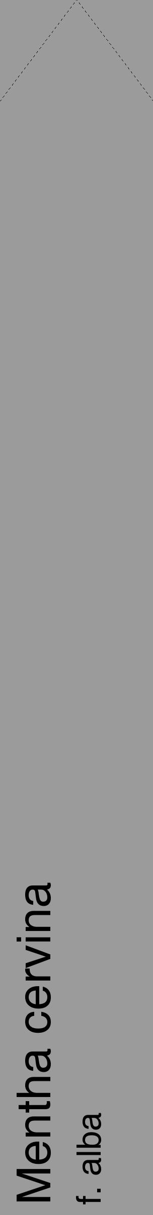 Étiquette de : Mentha cervina f. alba - format c - style noire52_simple_simplehel avec comestibilité - position verticale