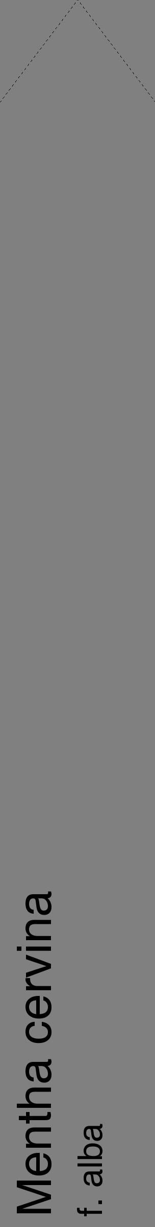 Étiquette de : Mentha cervina f. alba - format c - style noire57_simplehel avec comestibilité