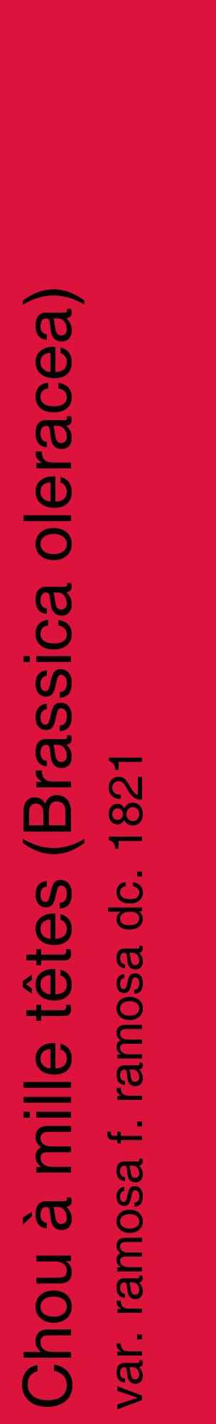 Étiquette de : Brassica oleracea var. ramosa f. ramosa dc. 1821 - format c - style noire36_basiquehel avec comestibilité