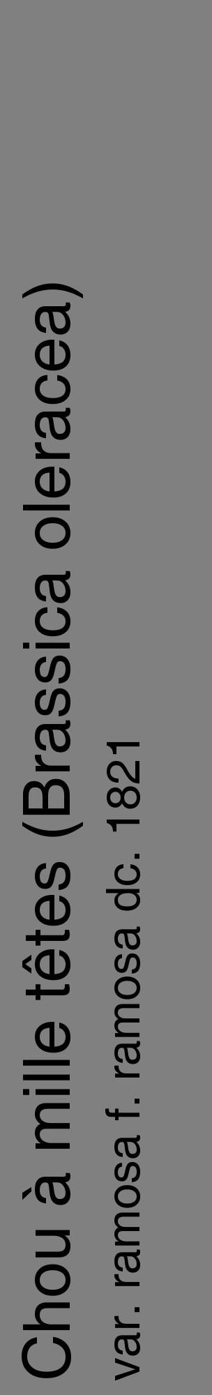 Étiquette de : Brassica oleracea var. ramosa f. ramosa dc. 1821 - format c - style noire57_basiquehel avec comestibilité