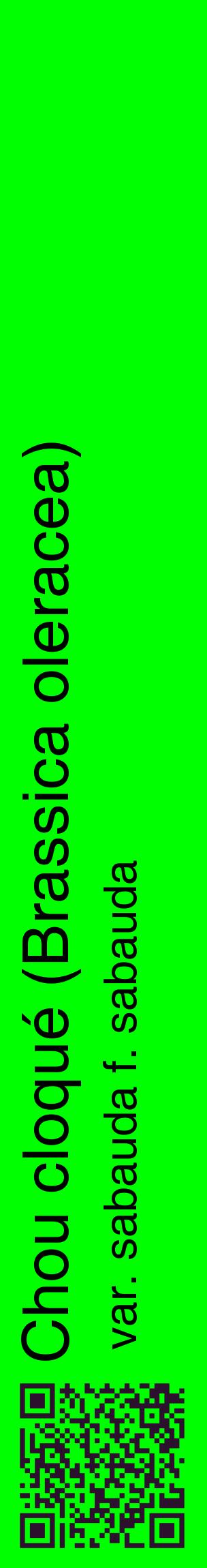 Étiquette de : Brassica oleracea var. sabauda f. sabauda - format c - style noire16_basiquehel avec qrcode et comestibilité
