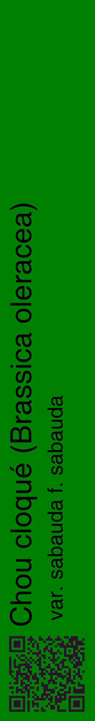 Étiquette de : Brassica oleracea var. sabauda f. sabauda - format c - style noire9_basiquehel avec qrcode et comestibilité