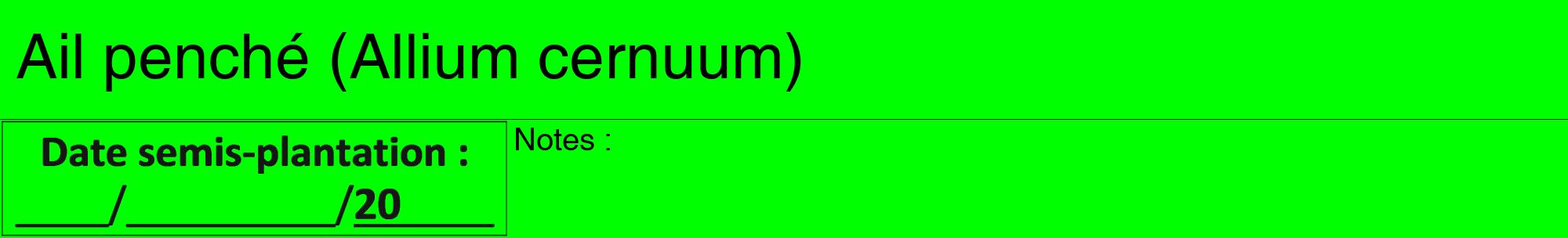 Étiquette de : Allium cernuum - format a - style noire16hel avec comestibilité