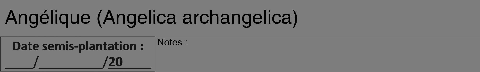 Étiquette de : Angelica archangelica - format a - style noire35hel avec comestibilité