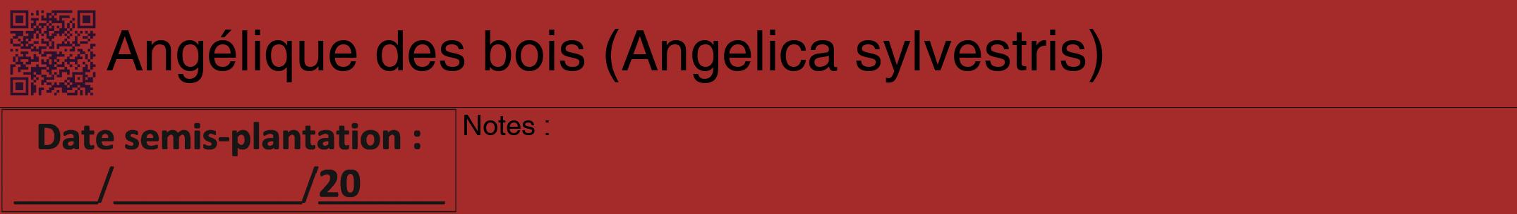 Étiquette de : Angelica sylvestris - format a - style noire33hel avec qrcode et comestibilité