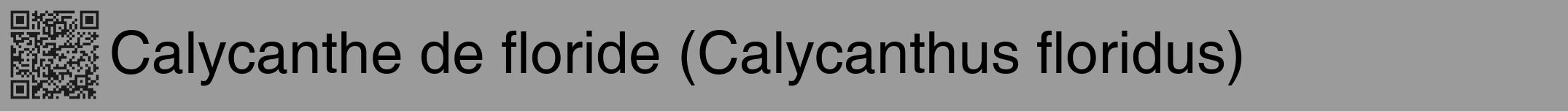 Étiquette de : Calycanthus floridus - format a - style noire52hel avec qrcode et comestibilité