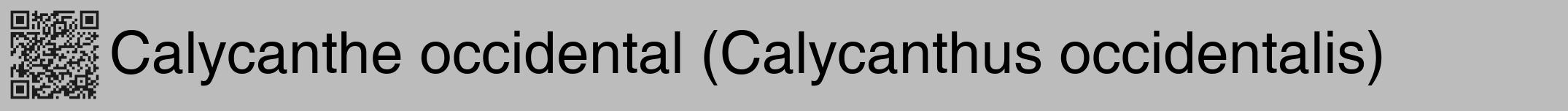 Étiquette de : Calycanthus occidentalis - format a - style noire1hel avec qrcode et comestibilité