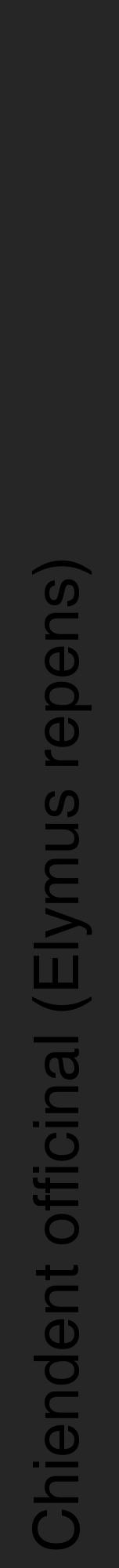 Étiquette de : Elymus repens - format a - style noire29hel avec comestibilité - position verticale