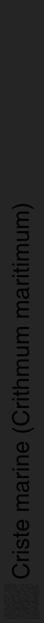 Étiquette de : Crithmum maritimum - format a - style noire47hel avec qrcode et comestibilité - position verticale