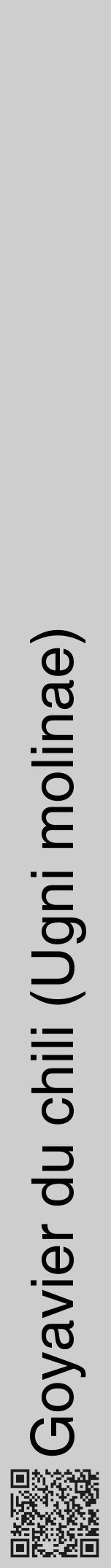 Étiquette de : Ugni molinae - format a - style noire17hel avec qrcode et comestibilité - position verticale