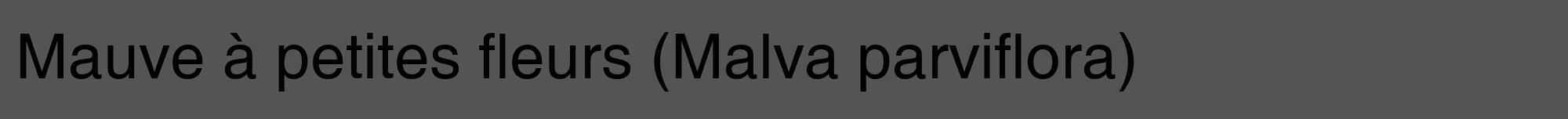 Étiquette de : Malva parviflora - format a - style noire30hel avec comestibilité