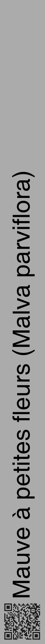Étiquette de : Malva parviflora - format a - style noire37hel avec qrcode et comestibilité - position verticale