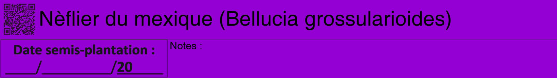 Étiquette de : Bellucia grossularioides - format a - style noire48hel avec qrcode et comestibilité