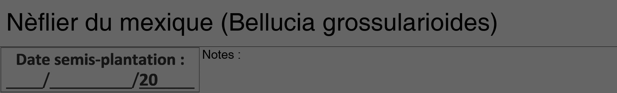 Étiquette de : Bellucia grossularioides - format a - style noire32hel avec comestibilité