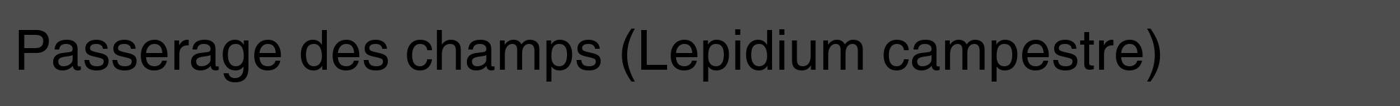 Étiquette de : Lepidium campestre - format a - style noire28hel avec comestibilité