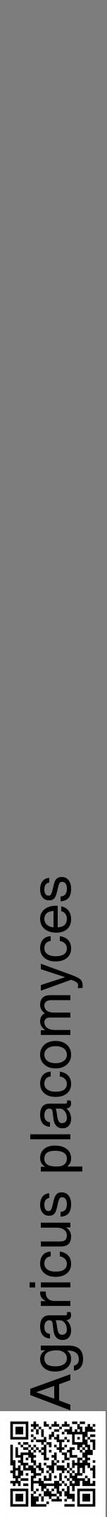 Étiquette de : Agaricus placomyces - format a - style noire35hel avec qrcode et comestibilité - position verticale